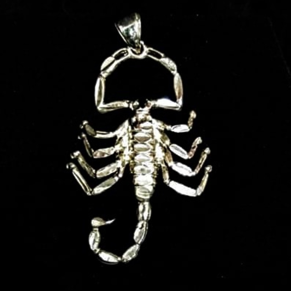 925 silver scorpion charm